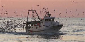 Pesca: al via la trattativa per rinnovo contratto personale non imbarcato dipendente da cooperative La copertura contrattuale è per il periodo 2022-2025